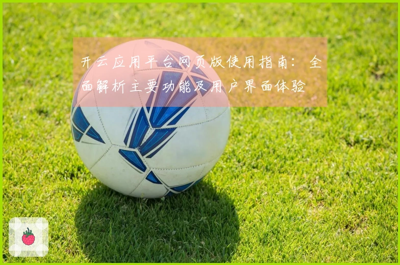 开云应用平台网页版使用指南：全面解析主要功能及用户界面体验